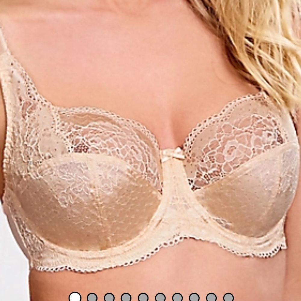 (Closet Clearance Sale!) NWT Panache Bra 40FF (5D)